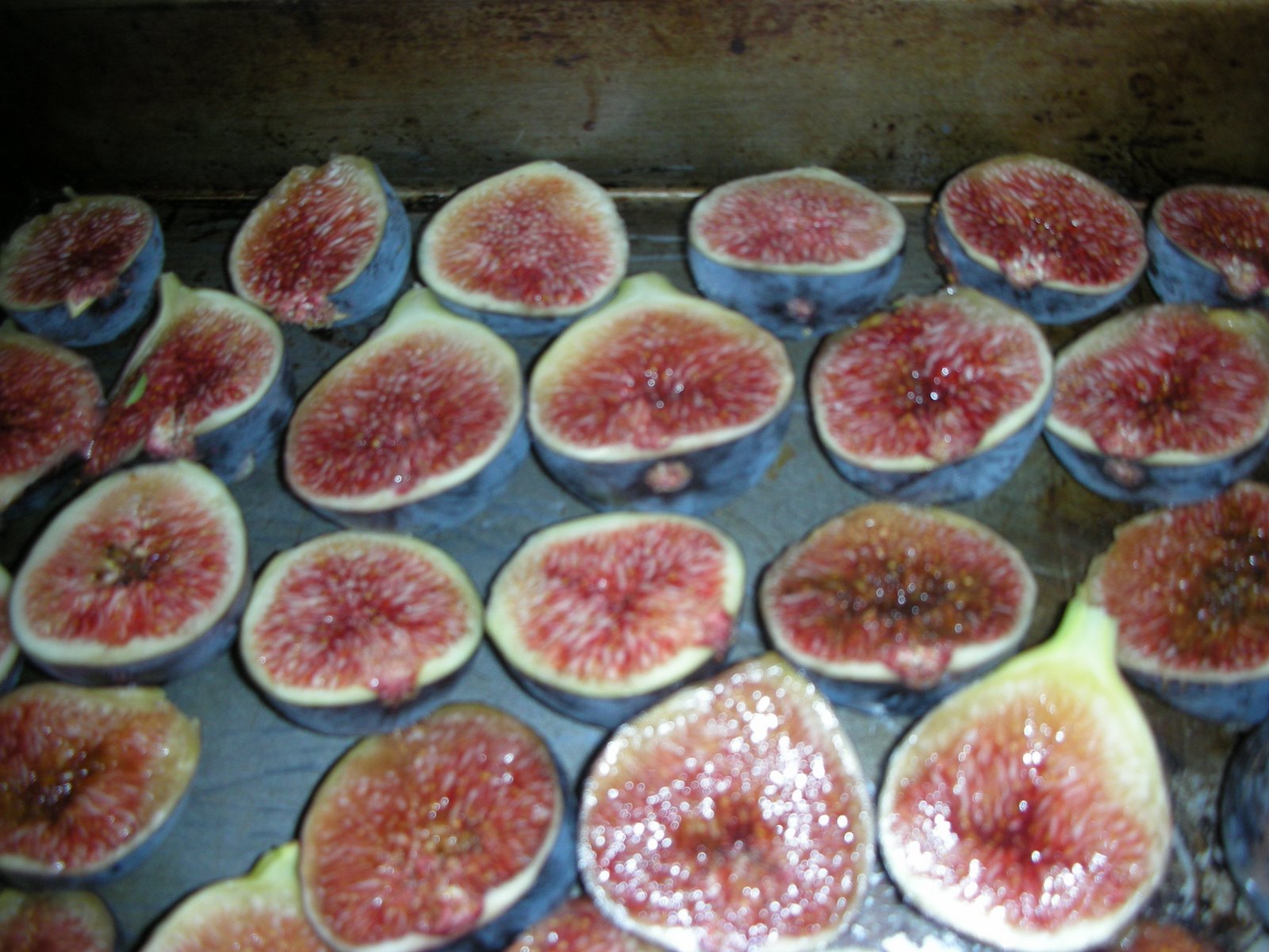 [DSCN3182.JPG]