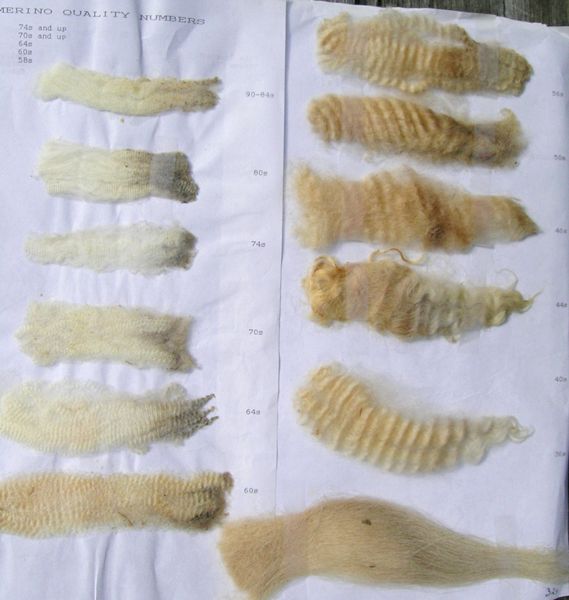 The Station Spin to Introduction to Fiber!