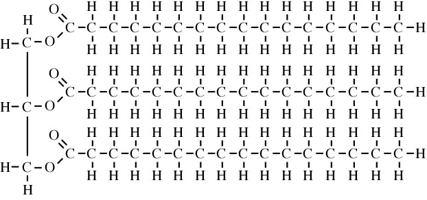 Based on the structure for both fat molecules,