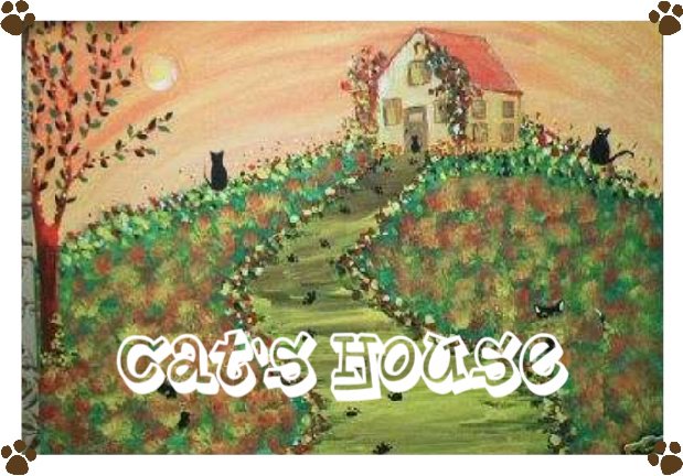 cat's house