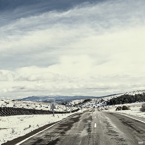 [3086751232_841aae7924.jpg]