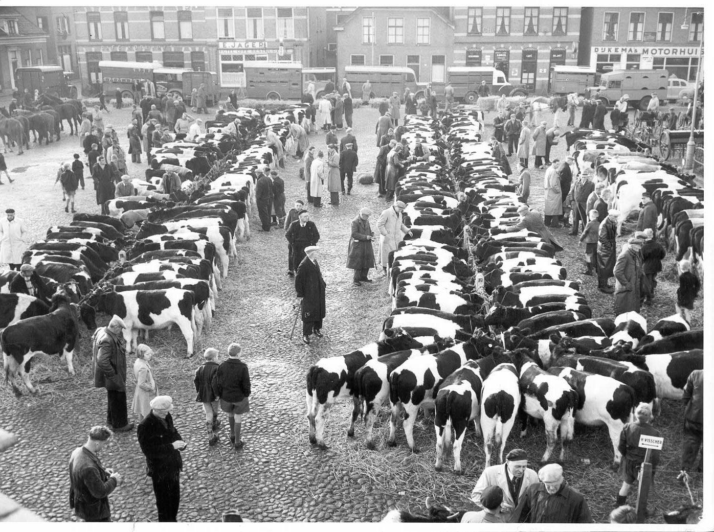 [cattle+market.jpg]