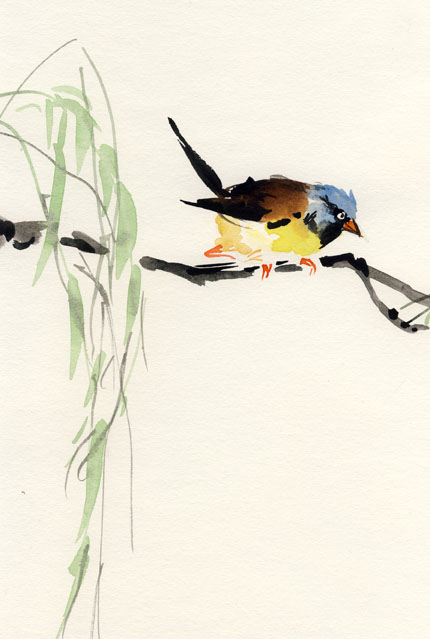 Parson Finch