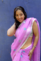 Tollywood Actress Preethi Mehra Hot Saree Navel Show