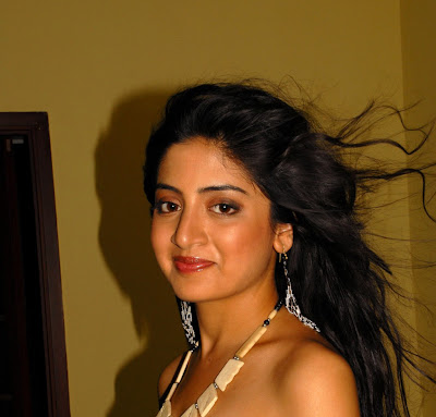 Tollywood Actress Poonam Kaur Hot Wallpapers Photos Gallery