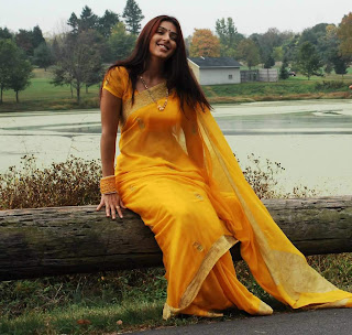 Actress Bhoomika Chawla Hot Saree Wallpaper Photos