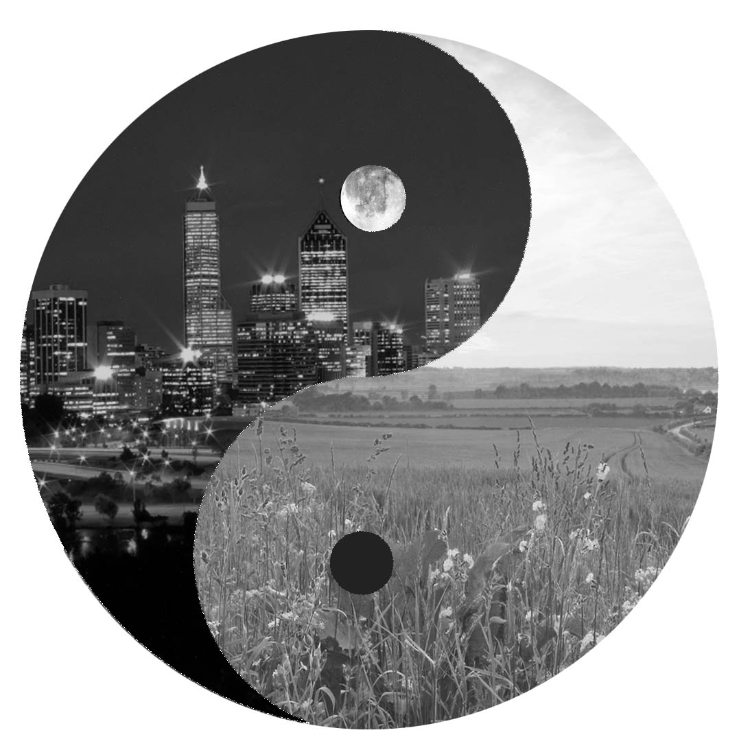 Yin Yang Planet