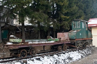 Busteni Narrow Gauge Electrical Train