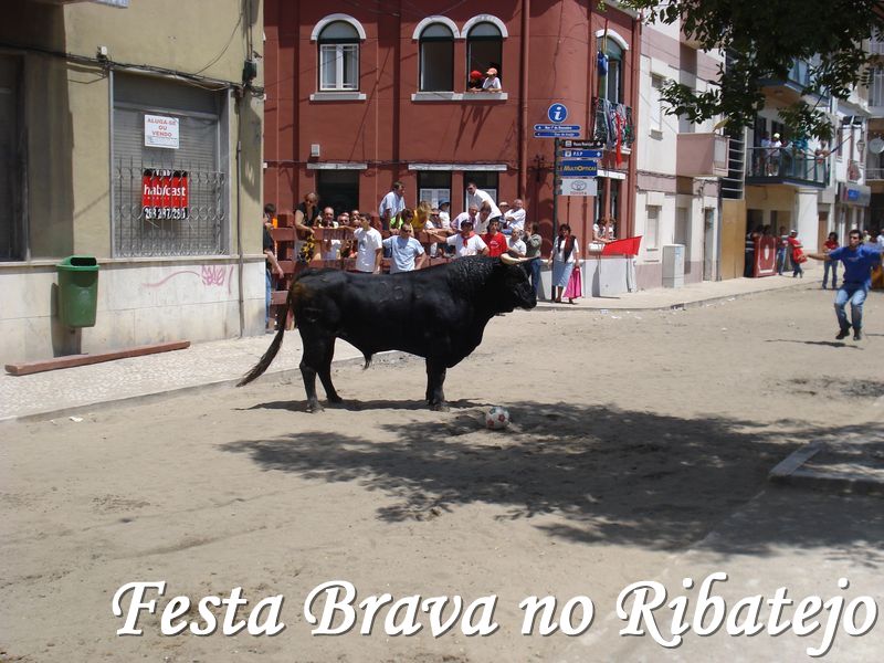 [COLETE+ENCARNADO.JPG]