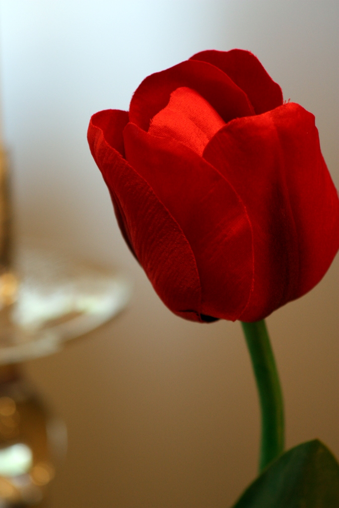 [IMG_7855.JPG]