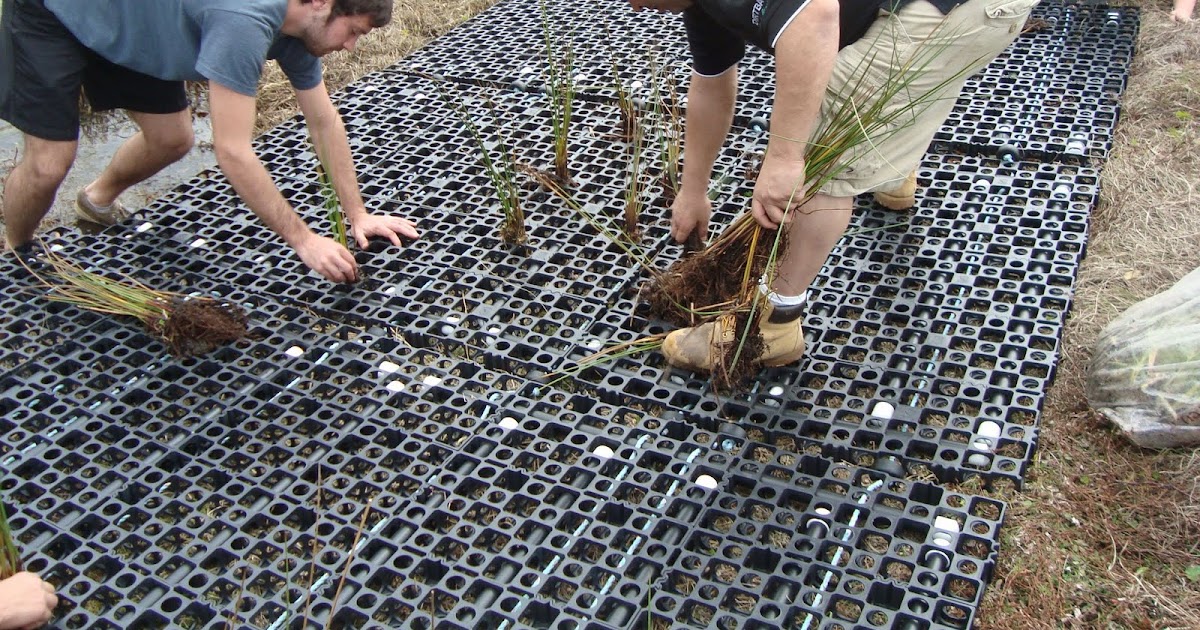 Florida Floating Wetlands Managed Aquatic Plant Systems Floating