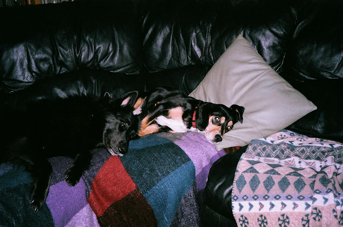 Maya and Shiloh cuddle