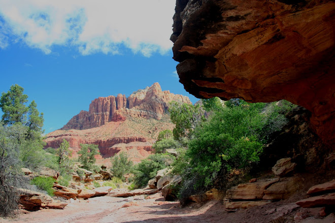 OVERHANGING ROCK IN WASH - LOT #69