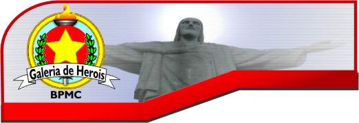 GALERIA DE HEROIS