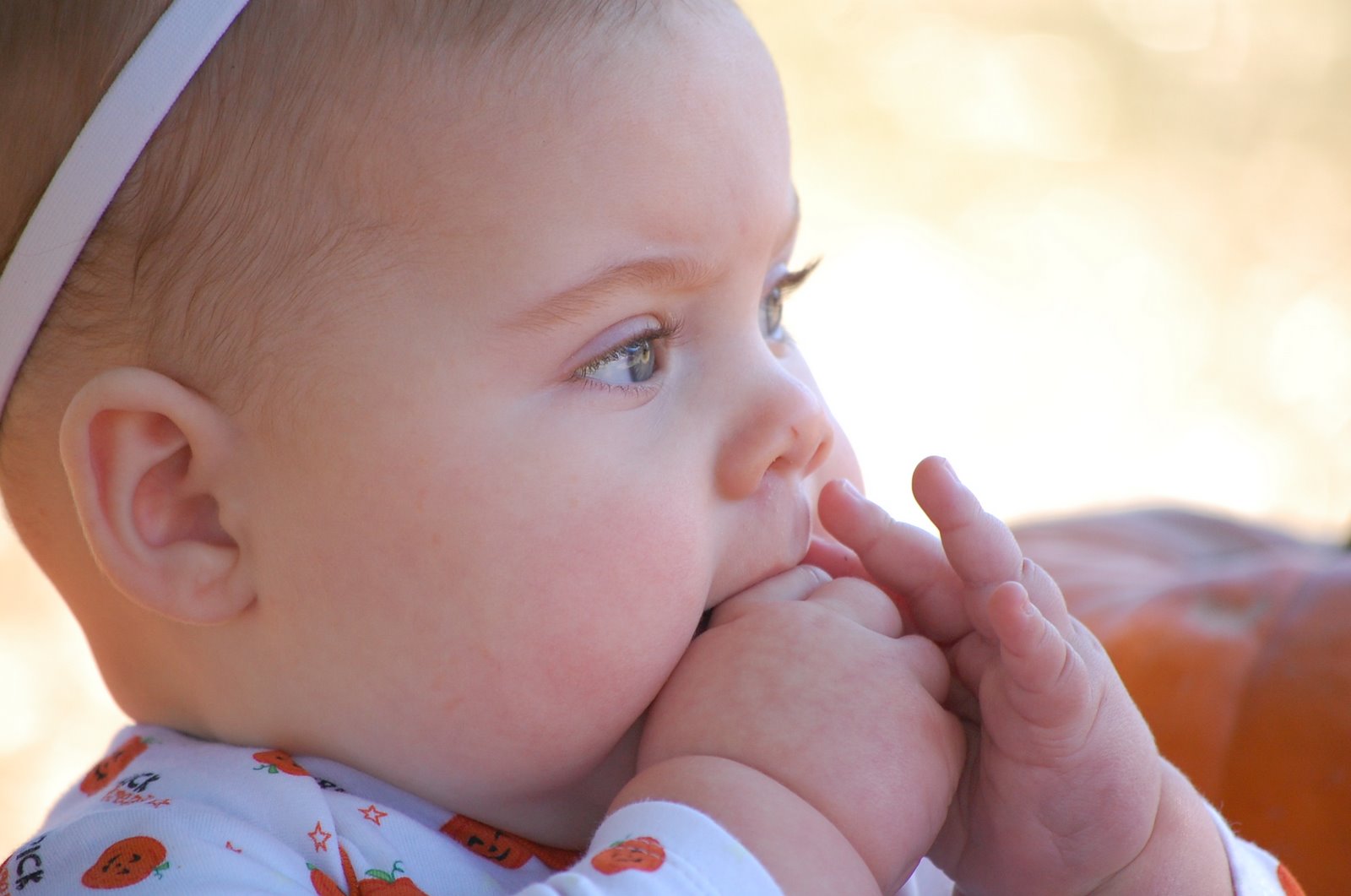 [ava+pumpkin+patch+069.JPG]