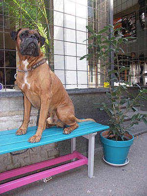 [PICT0094.jpg]