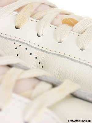 [PICT0258.jpg]