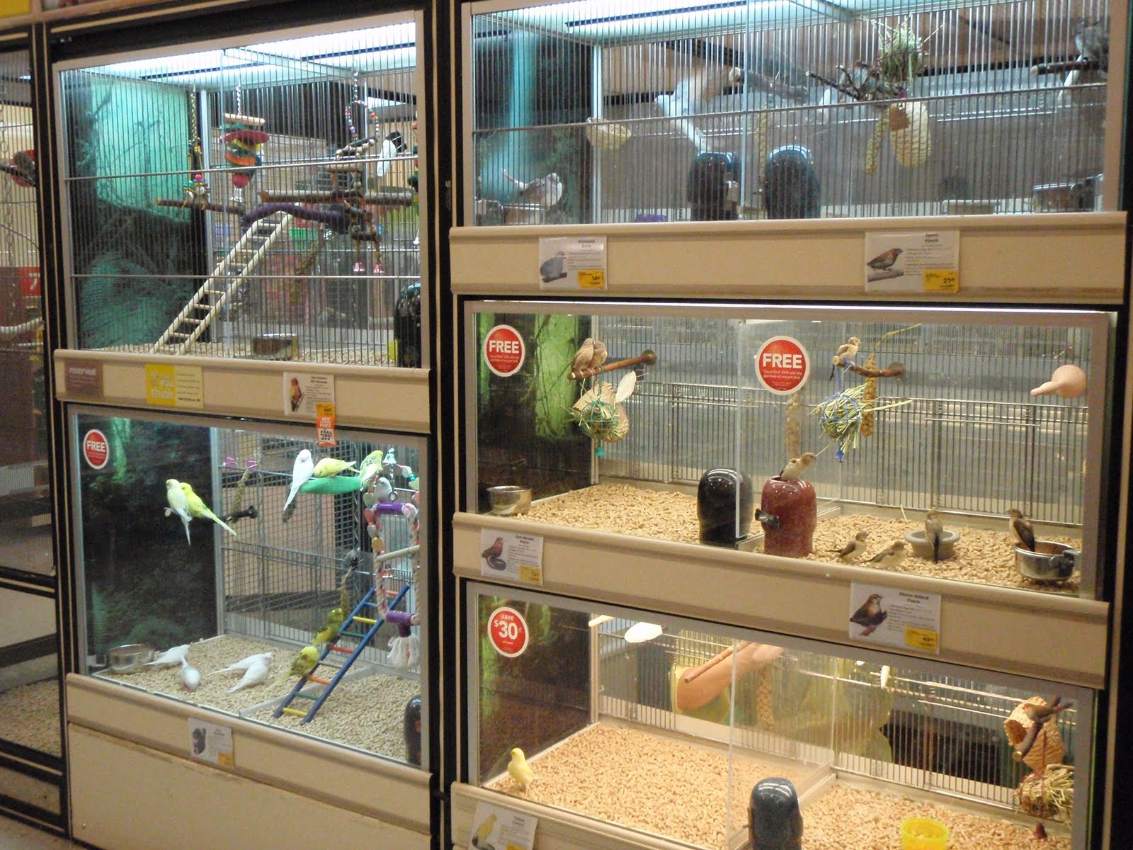 [pet store]