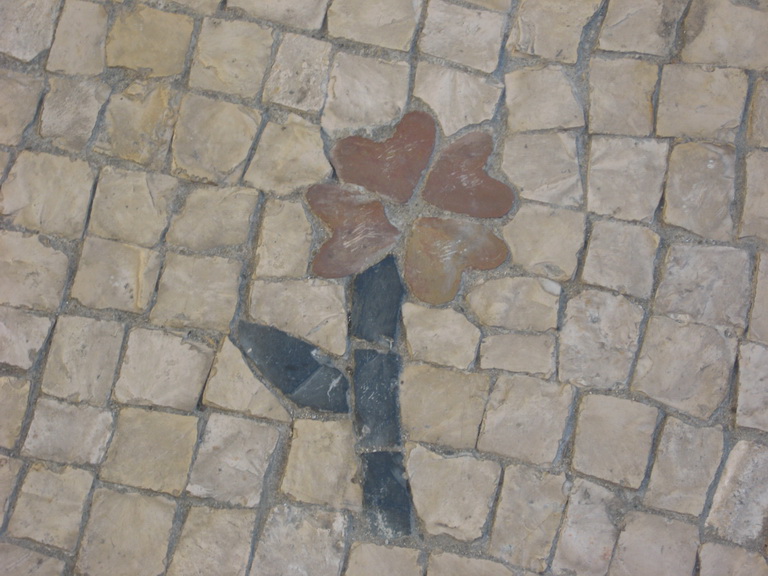 [IMG_3506_resize.JPG]