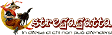 Stregatta