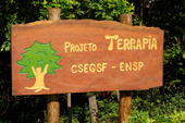 [terrapia_1.jpg]