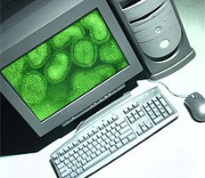 [computer_virus.jpg]