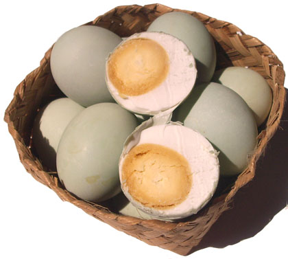 example of a duck egg cages