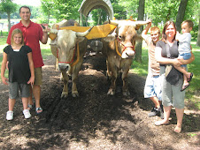 Oxen & Wagon Ride Nauvoo,IL