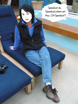 Ms Q has a flair for Q-ed pictures, and uses these on her most excellent blog. I like this one because it shows a flair for imaging, and a personal touch. Well done indeed!! This picture was taken on a trip that I read about some time ago at Q Musings. Points go to the great shoes, and Shakesperian Prose ;-)