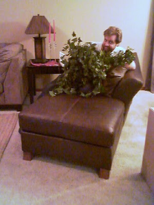 plant boy