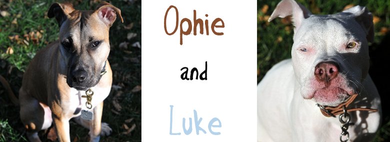 Ophie and Luke