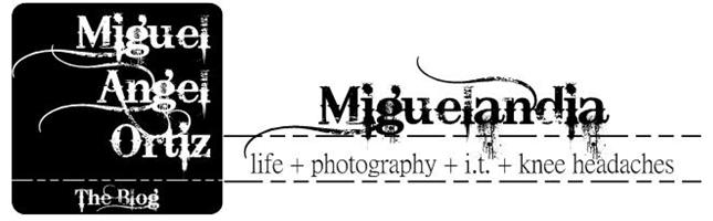 Miguelandia
