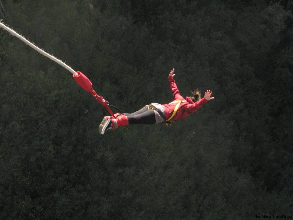 Fully Devoted Bungee Jumping for the Soul Letting Go