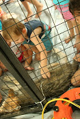 petting the baby wolf at "kids day"