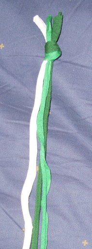 [passo_02.JPG]