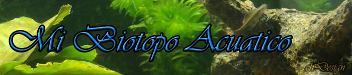 Mi Biotopo acuático