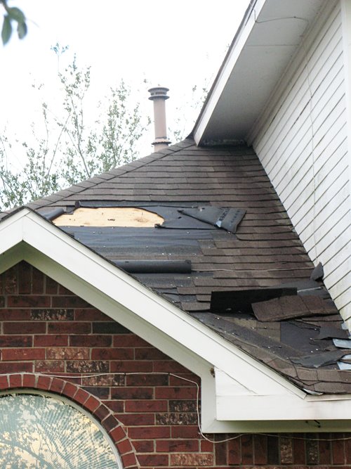 [roof.jpg]