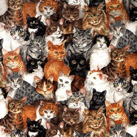 Big Cat Collage