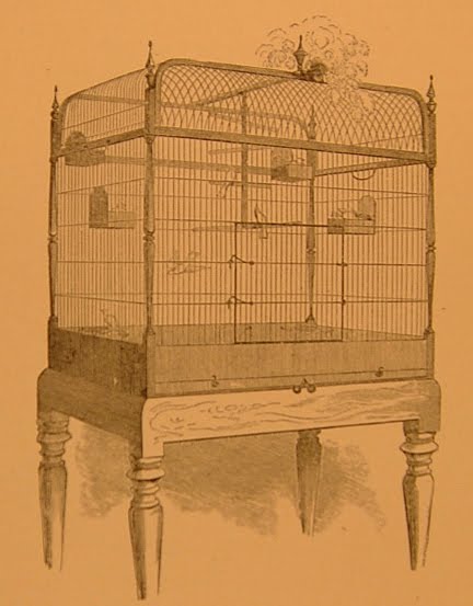[BirdCage4.jpg]