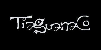 Tiaguanaco Textiles