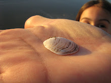 MY NEW TRAVEL PHOTO BOOK