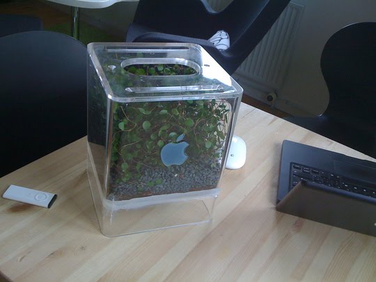 [apple.jpg]