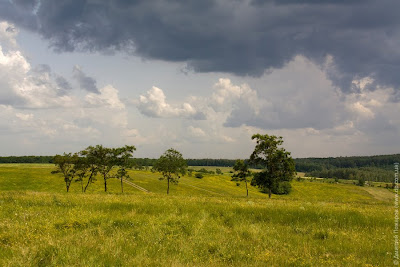 Черкасская Лозовая