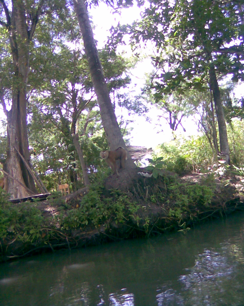 [floating+river4.jpg]
