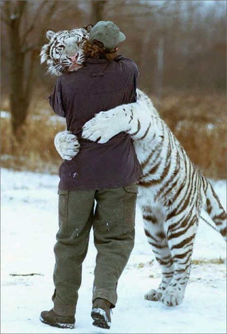 [TigerHug.jpg]