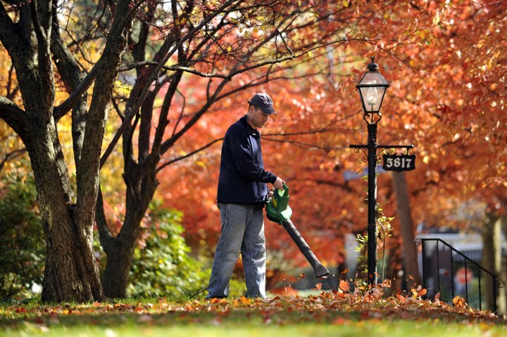 [Blog-Fall+Work.JPG]