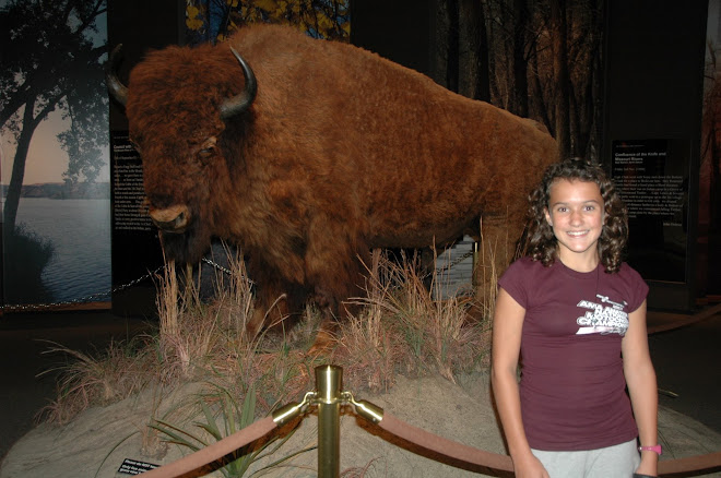 Sarah and the Bison