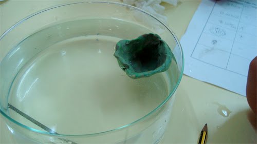 [DSC04545.jpg]