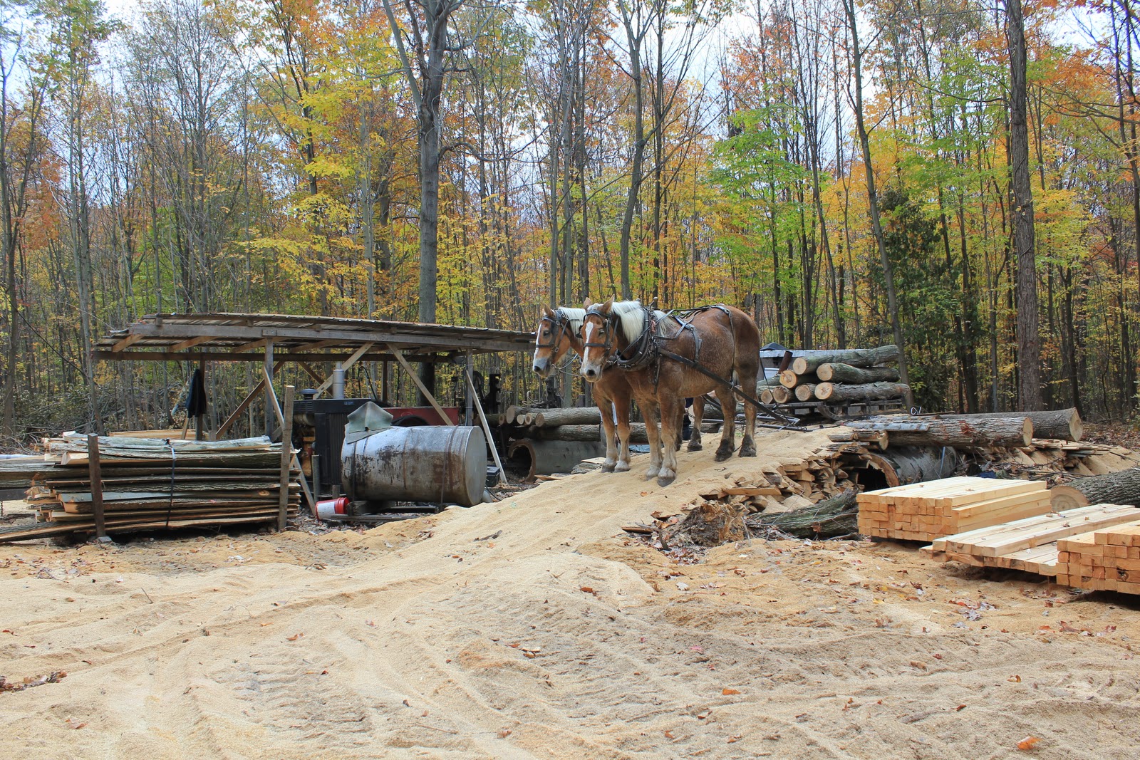 Wise Outdoor Adventures Amish Sawmill in operation Wellington, Ohio
