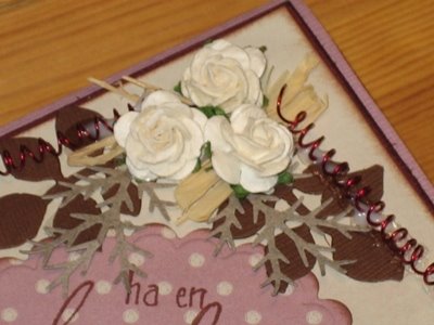 [IMG_2954.JPG]